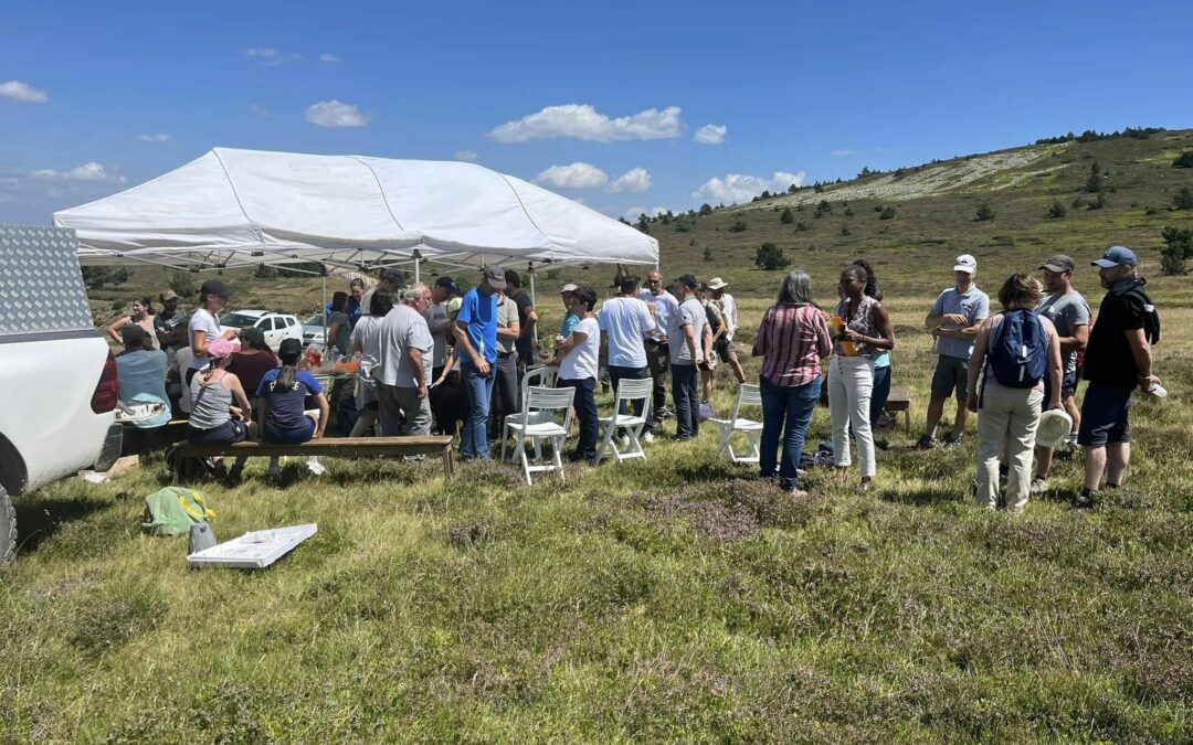 Journée des groupements pastoraux sur le Mont-Lozère