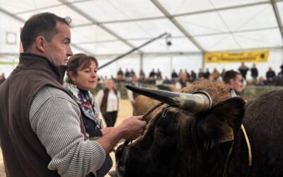 Le National Aubrac à Aumont Aubrac