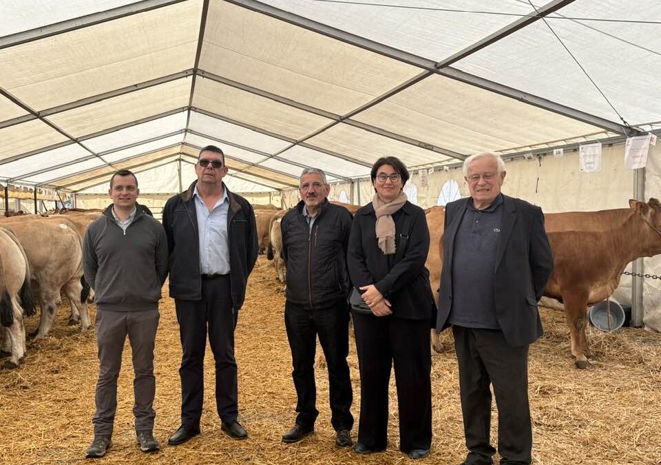 43e foire de Langogne : une vitrine de l’excellence agricole locale