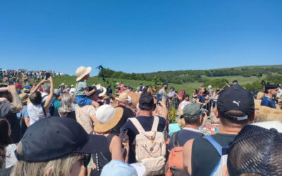 Transhumance de Bonnecombe