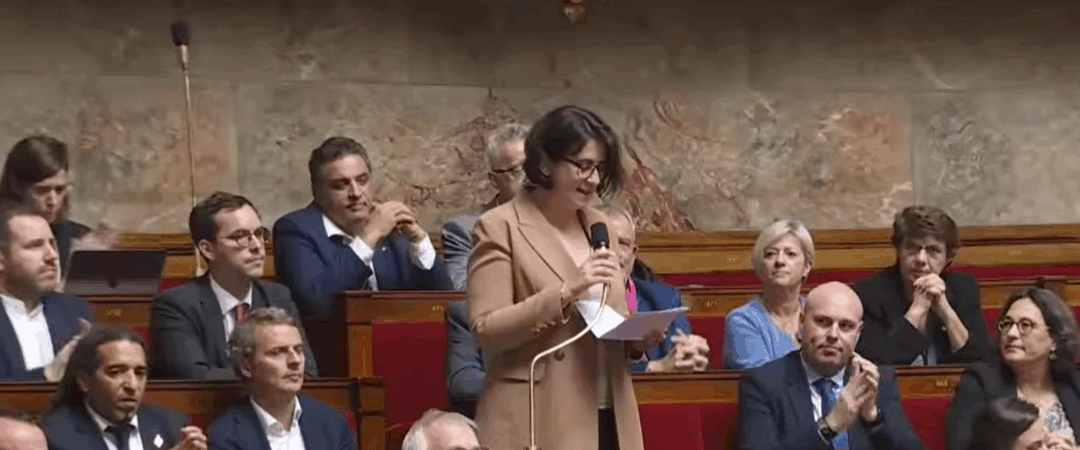 Questions au Gouvernement (QAG)