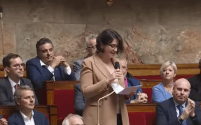 Questions au Gouvernement (QAG)